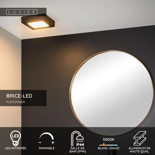Lucide BRICE-LED - Plafonnier Salle de bains - LED Dim. - 1x15W 3000K - IP44 - Noir - USP